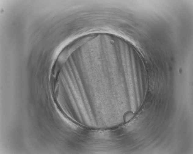 X0000059251519200510281943