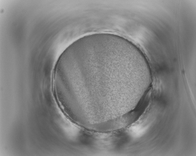 X0000059251520200510281943