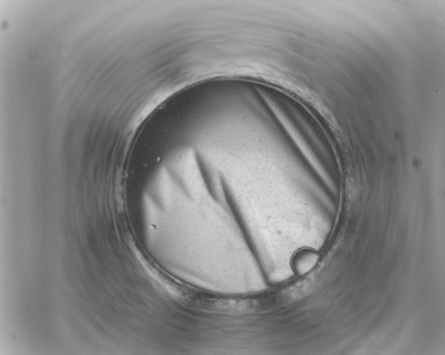 X0000059251521200510281943