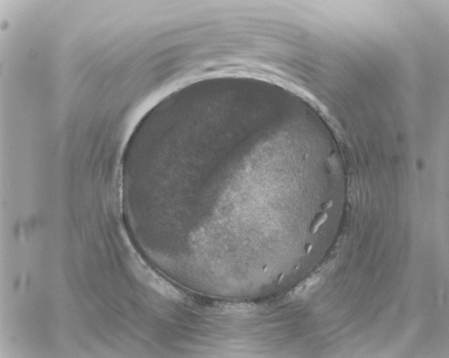 X0000059251522200510281943