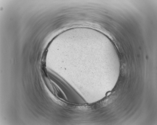 X0000059251523200510281943