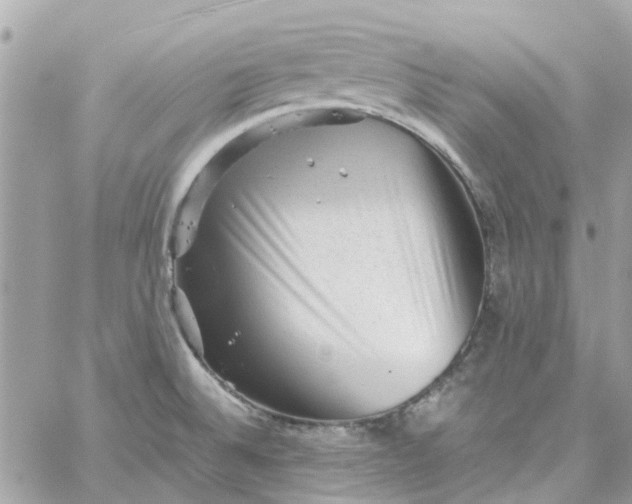 X0000059251524200510281943