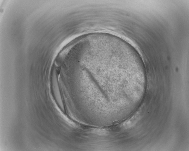 X0000059251525200510281943