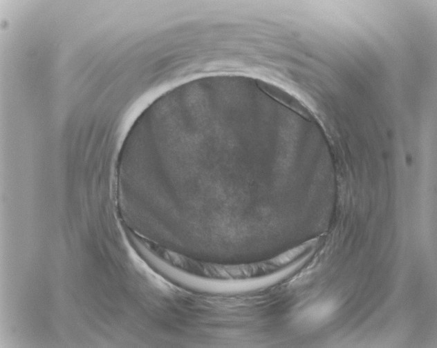 X0000059251527200510281943