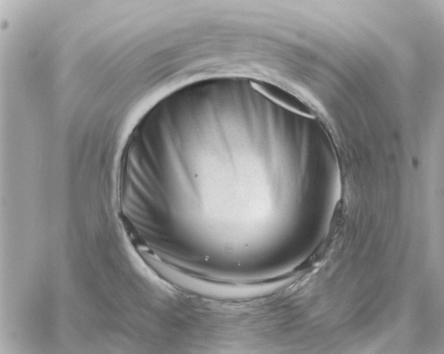 X0000059251528200510281943