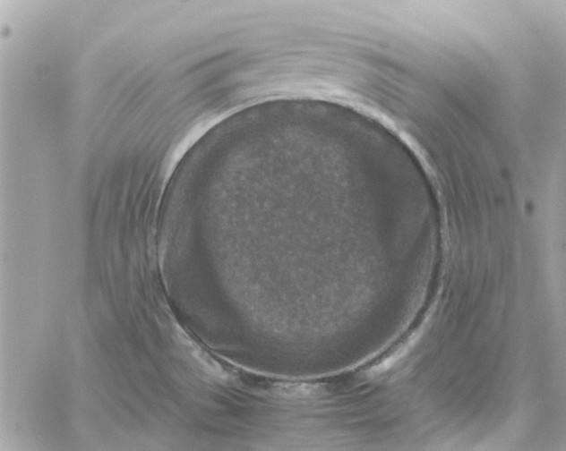 X0000059251529200510281943