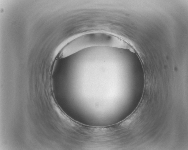 X0000059251534200510281943