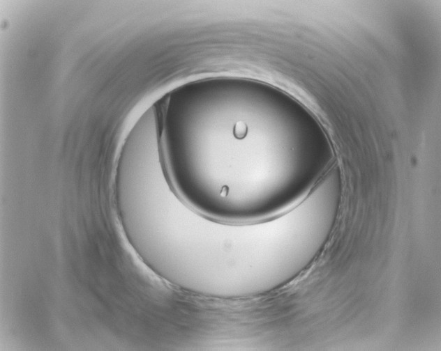 X0000059251536200510281943