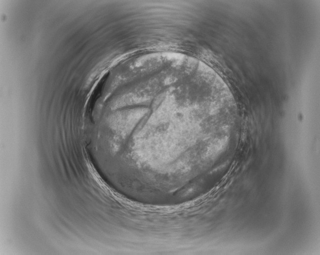 X0000059250002200511041346