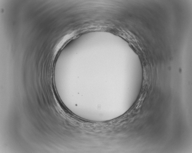 X0000059250003200511041346