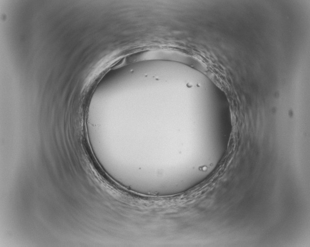 X0000059250005200511041346