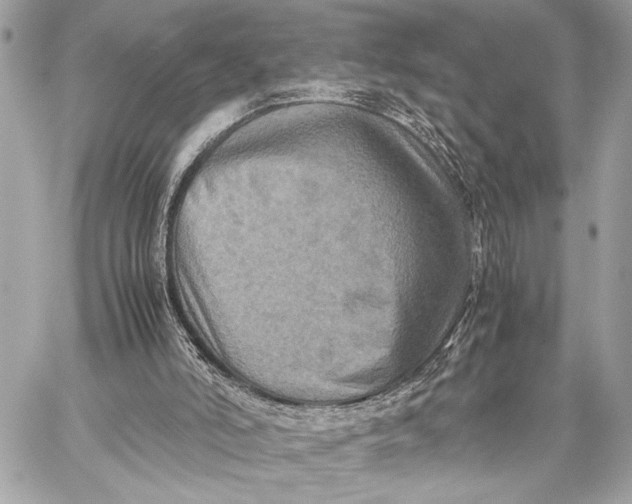 X0000059250006200511041346