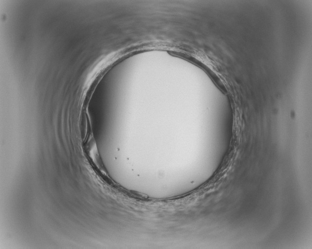 X0000059250007200511041346