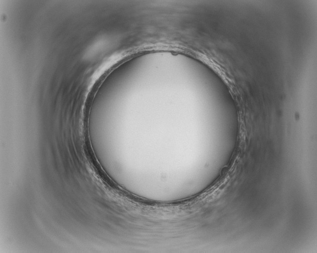 X0000059250008200511041346