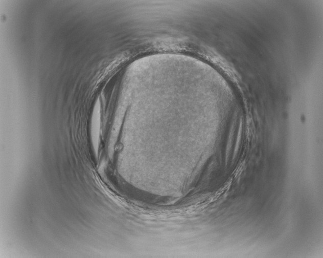 X0000059250009200511041346