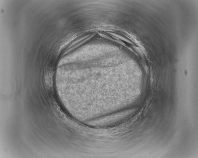 X0000059250010200511041346