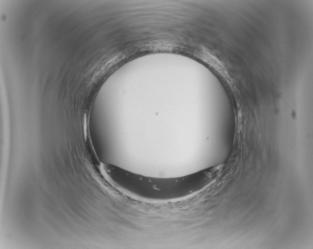 X0000059250013200511041346