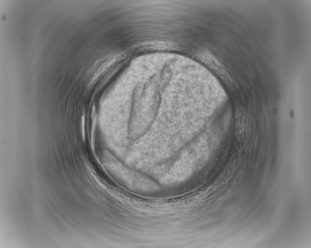 X0000059250014200511041346