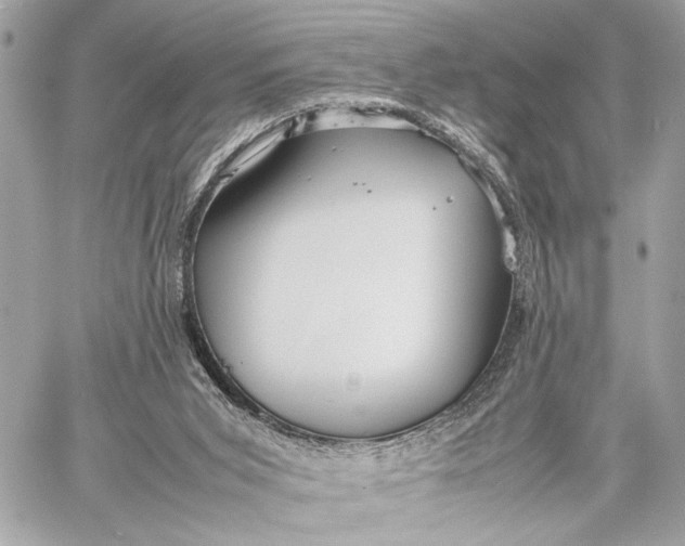 X0000059250015200511041346