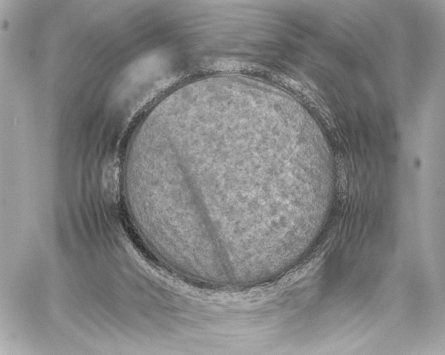 X0000059250016200511041346