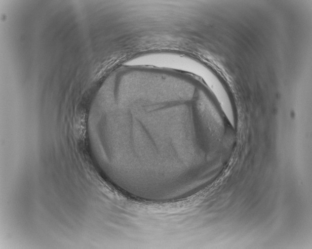 X0000059250017200511041345