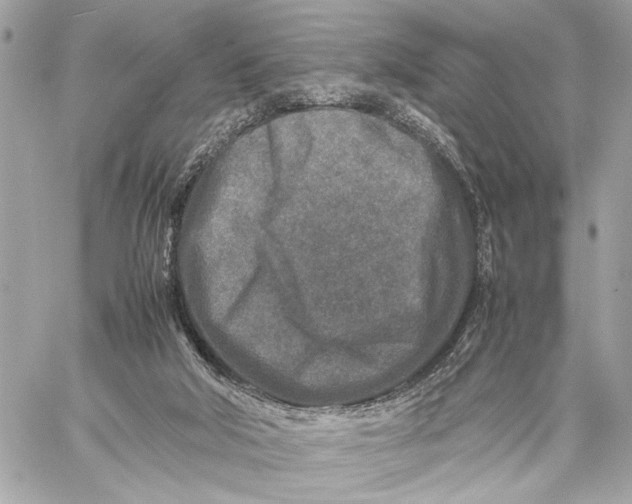 X0000059250018200511041345