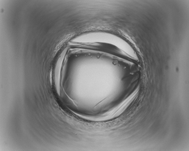 X0000059250019200511041345