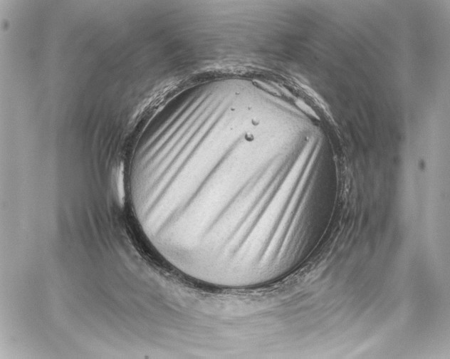 X0000059250020200511041345