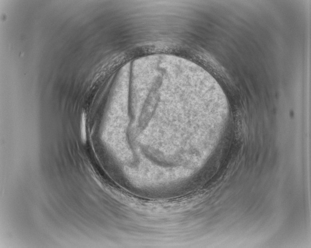 X0000059250022200511041345