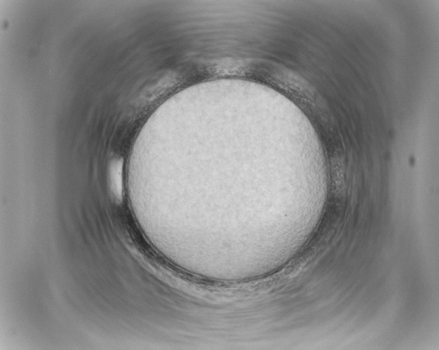 X0000059250028200511041345