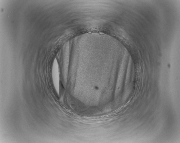 X0000059250029200511041345