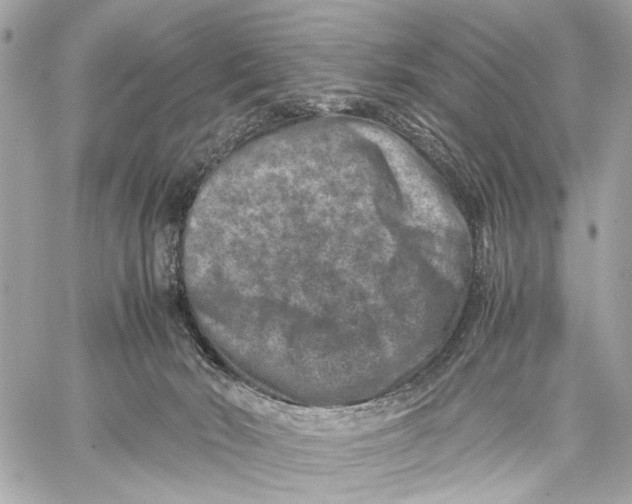 X0000059250030200511041345