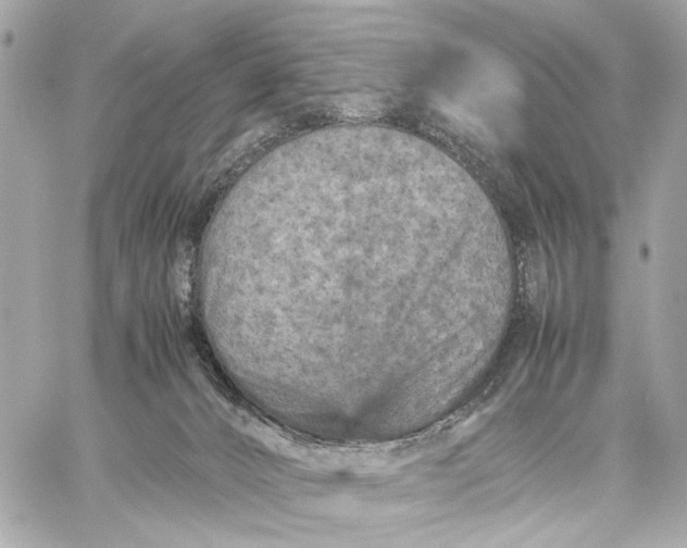 X0000059250032200511041345