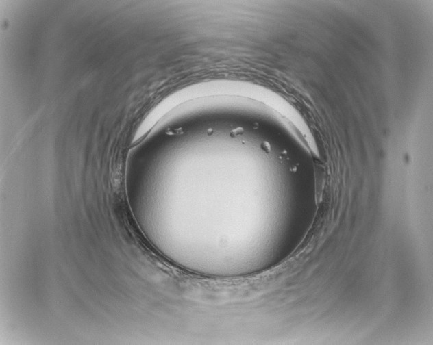 X0000059250033200511041345