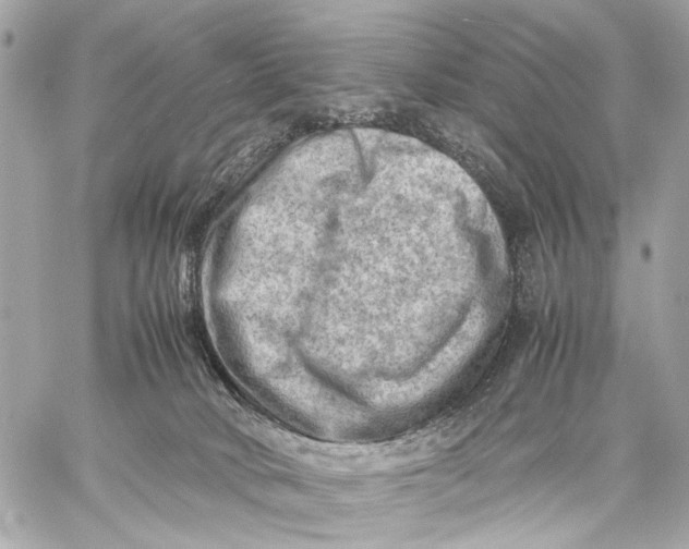 X0000059250034200511041345