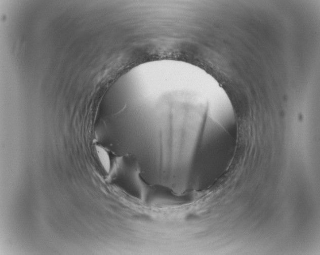 X0000059250039200511041345