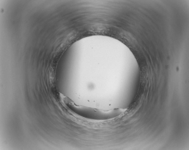 X0000059250040200511041345