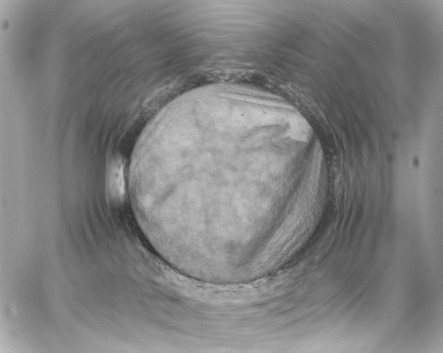 X0000059250042200511041345