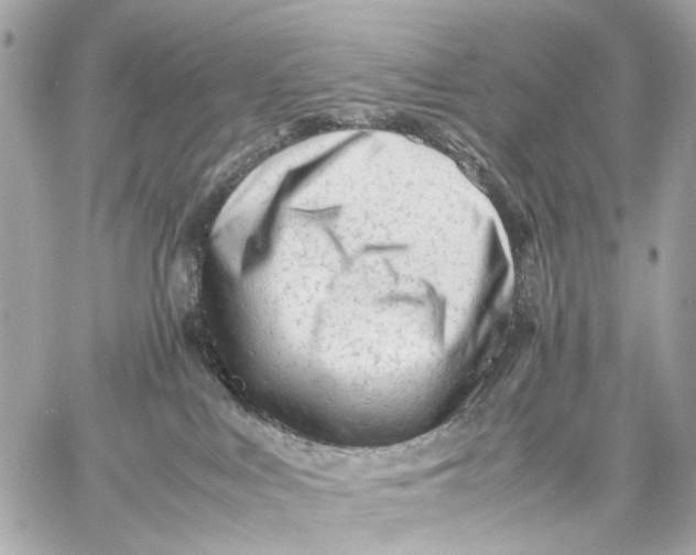 X0000059250043200511041345