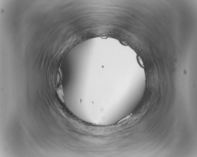 X0000059250044200511041345