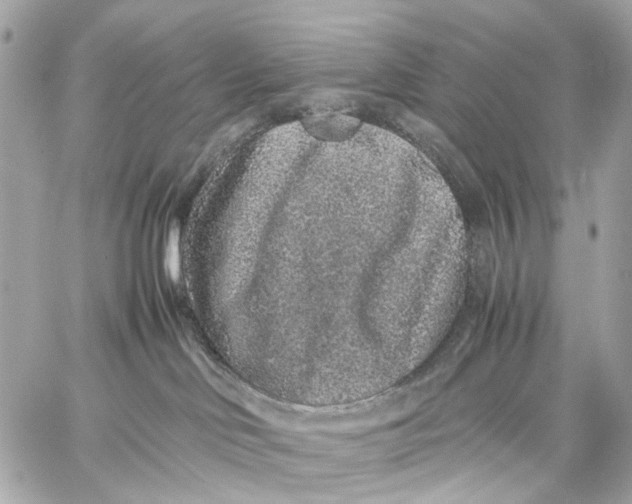 X0000059250046200511041345