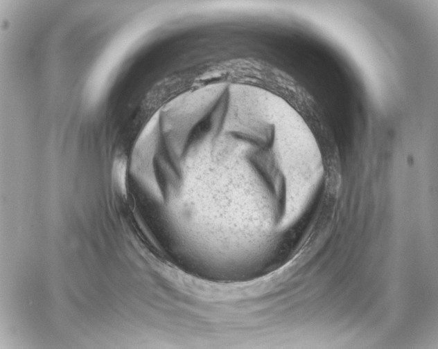 X0000059250047200511041345