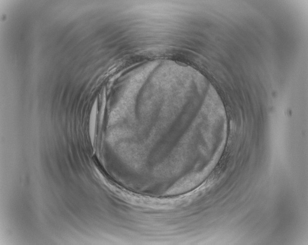 X0000059250048200511041345