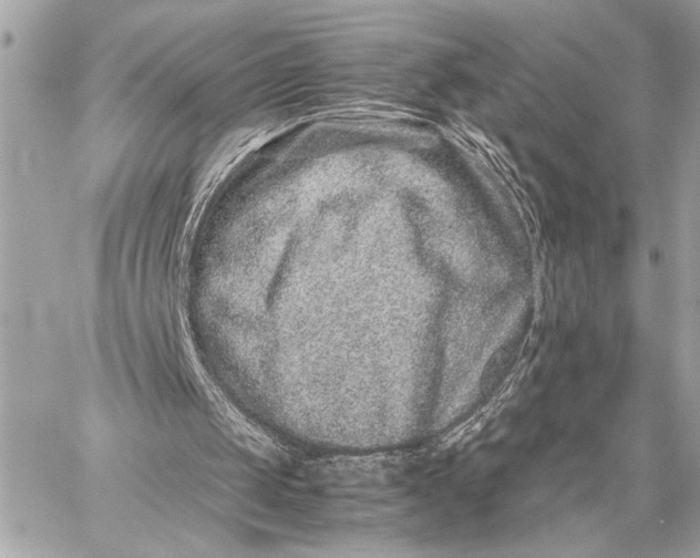 X0000059250049200511041344