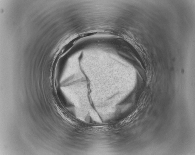 X0000059250050200511041344