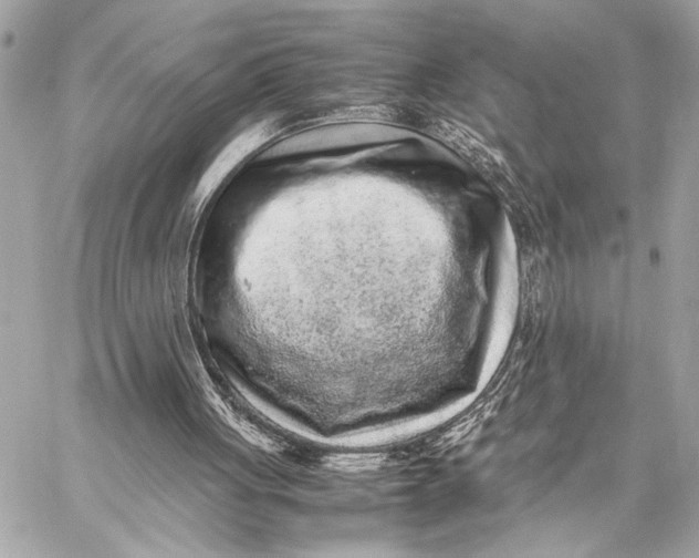 X0000059250051200511041344