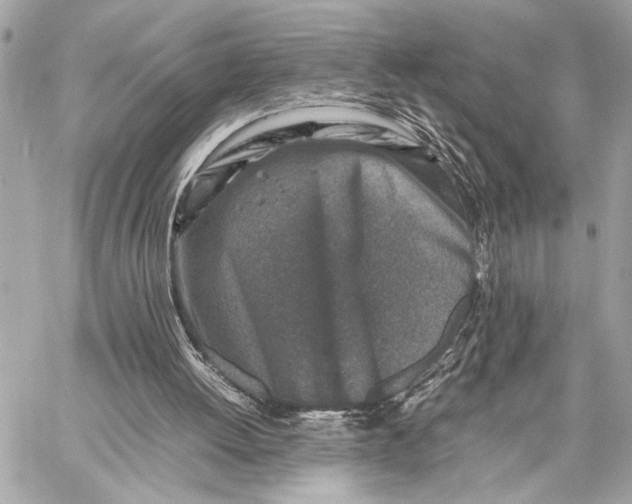 X0000059250052200511041344