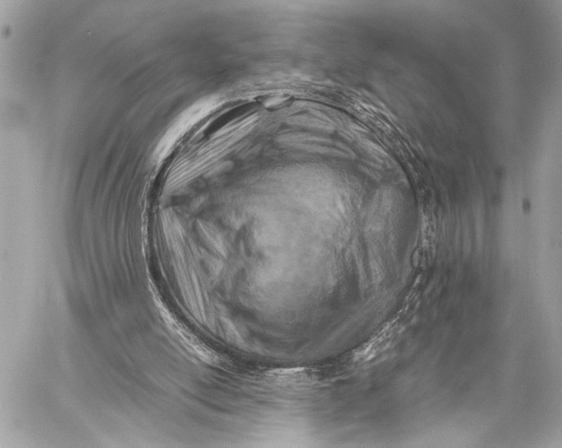 X0000059250054200511041344