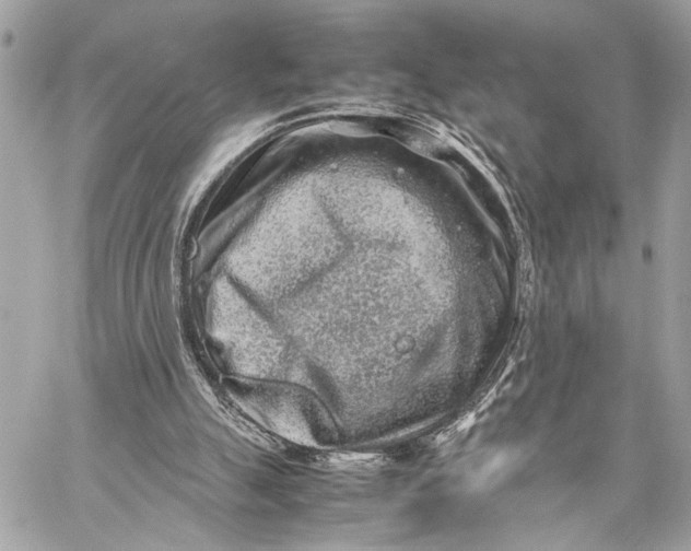 X0000059250055200511041344