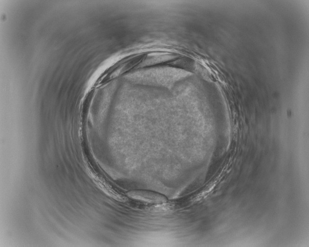 X0000059250056200511041344